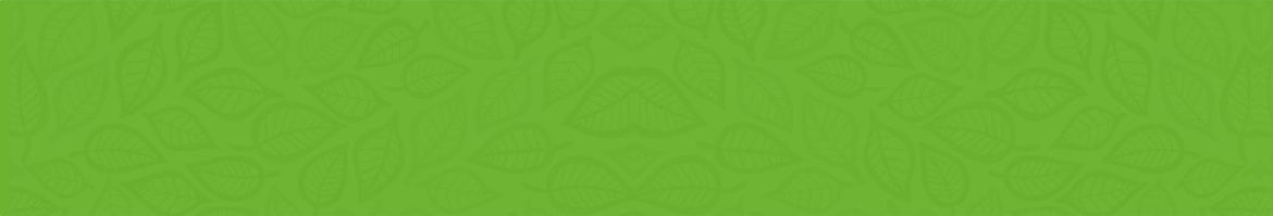cropped-green_bg2.jpg